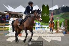 ref. photo 4019101