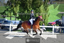 ref. photo 4019527
