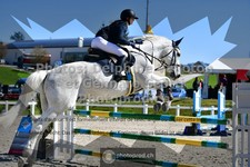 ref. photo 3559292