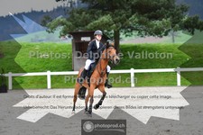 ref. photo 3559335