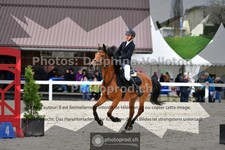 ref. photo 3559354