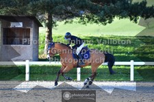 ref. photo 3559363
