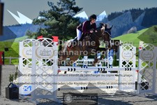 ref. photo 3559435