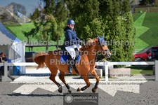 ref. photo 3559506