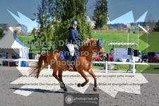 ref. photo 3559509