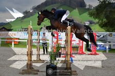 ref. photo 3559525
