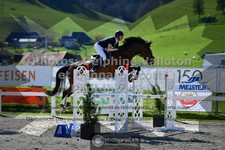 ref. photo 3559547