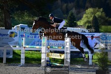 ref. photo 3559554