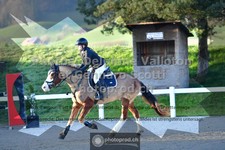 ref. photo 3559583