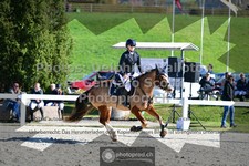 ref. photo 3559590