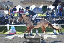 ref. photo 3559592
