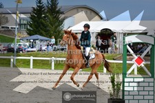 ref. photo 3559602