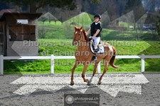 ref. photo 3559603