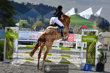 ref. photo 3559610