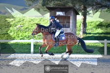 ref. photo 3559622