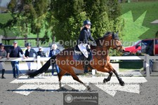 ref. photo 3559625
