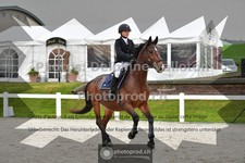 ref. photo 3559635