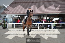 ref. photo 3559640