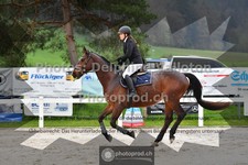 ref. photo 3559644