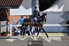 ref. photo 3559650