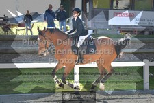 ref. photo 3559710