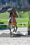 ref. photo 3559715