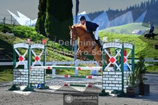 ref. photo 3559760
