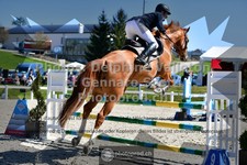 ref. photo 3559768