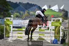 ref. photo 3559790