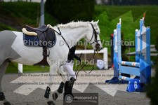 ref. photo 3559809