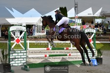 ref. photo 3559902