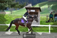 ref. photo 3559916