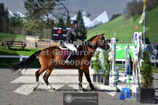 ref. photo 3559923