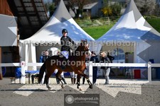 ref. photo 3559924