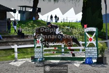 ref. photo 3559981