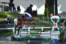 ref. photo 3559989