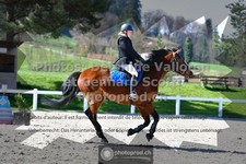 ref. photo 3559994