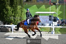 ref. photo 3559999