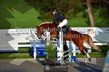 ref. photo 3560003