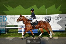 ref. photo 3560006