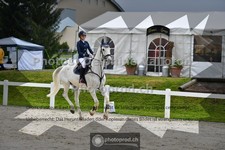 ref. photo 3560011