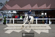 ref. photo 3560017