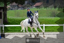 ref. photo 3560029