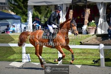 ref. photo 3560041
