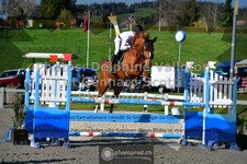 ref. photo 3560043