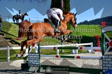 ref. photo 3560044