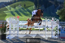ref. photo 3560045