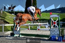 ref. photo 3560049
