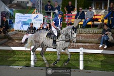 ref. photo 3560061