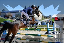 ref. photo 3560072